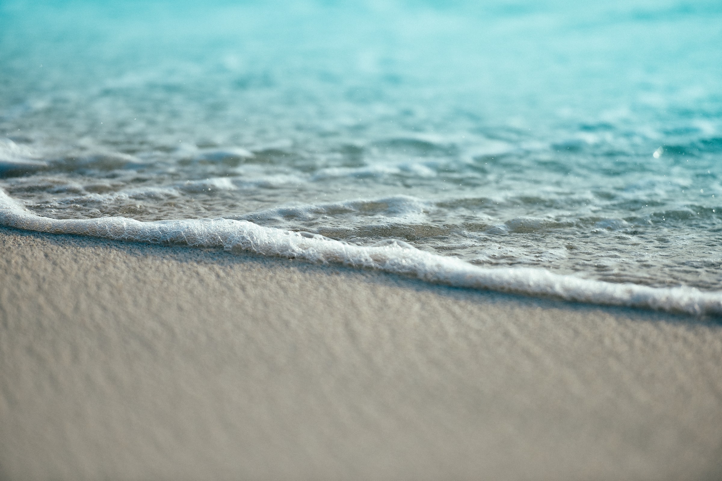 海